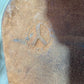 Circle Y Roper ISUSED1757