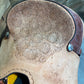Trent Ward Platinum Roper ISPR985-25