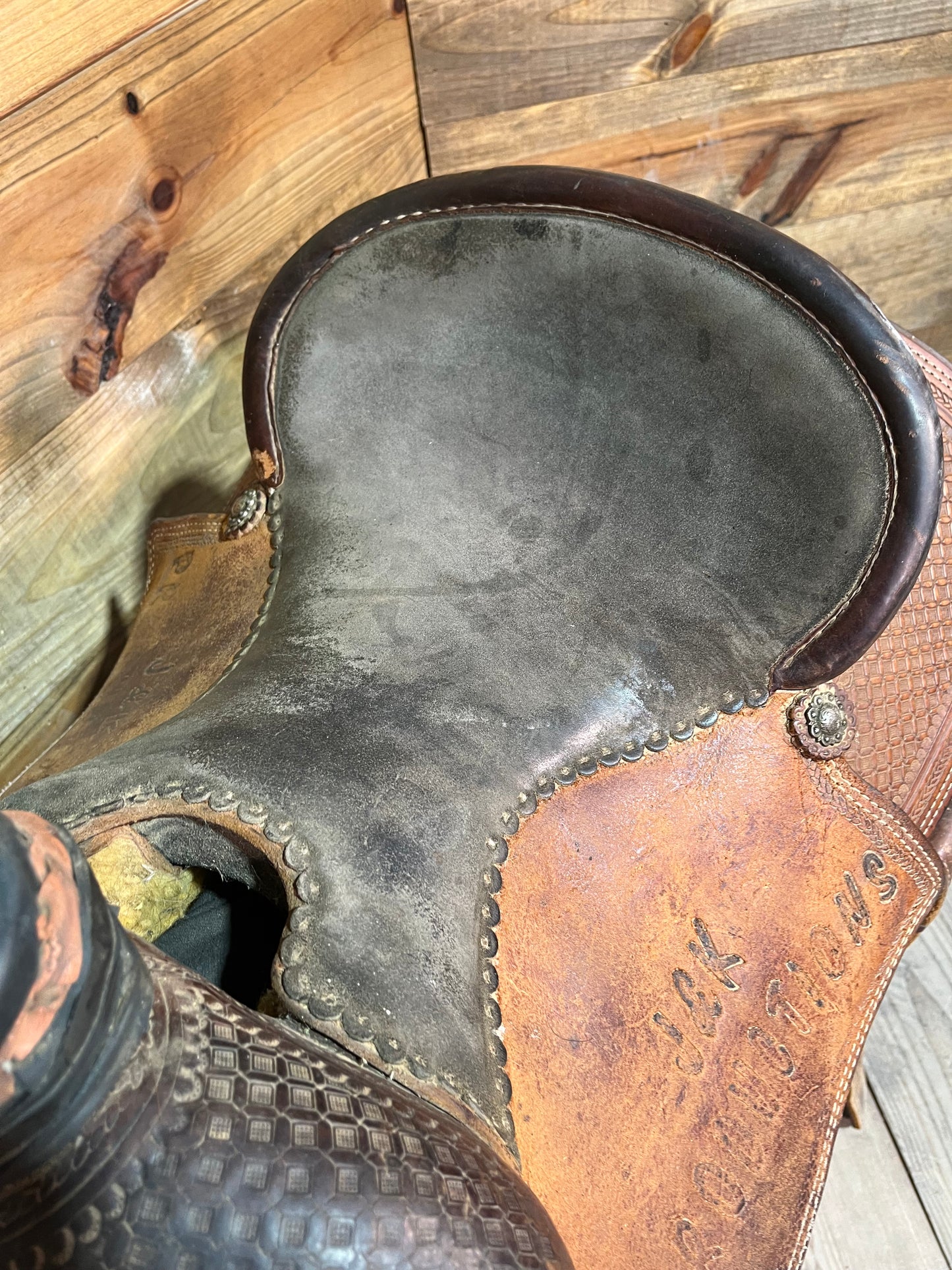 14 1/2” Stray Star Roper ISUSED2431