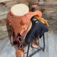 Trent Ward AZ Roper ISTR366-25