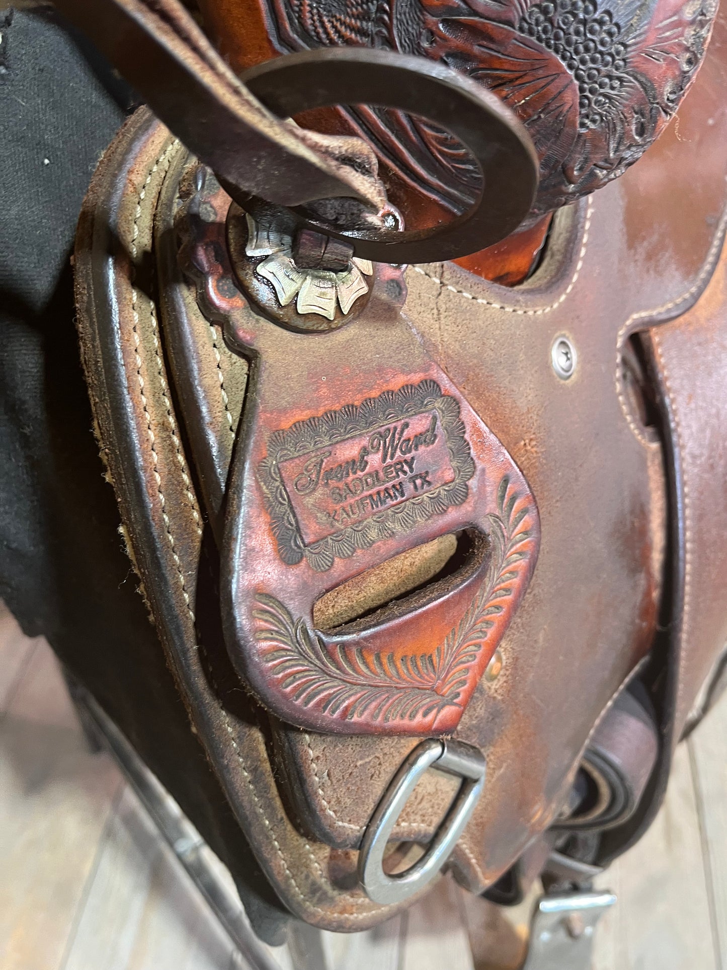Trent Ward WJ Ranch Roper ISUSED1784
