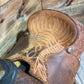 15” Trent Ward Platinum Roper ISUSED2446