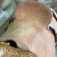 Trent Ward Tucson Rancher ISRS744-25