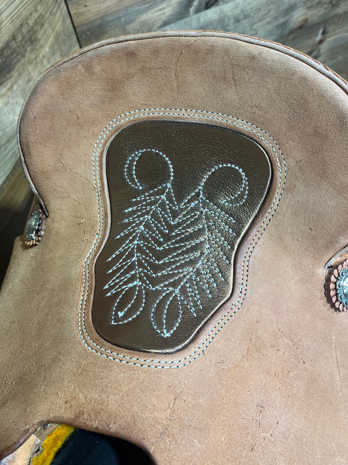 Trent Ward AZ Roper ISTR431-25