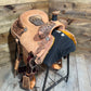 Trent Ward AZ Roper ISTR431-25