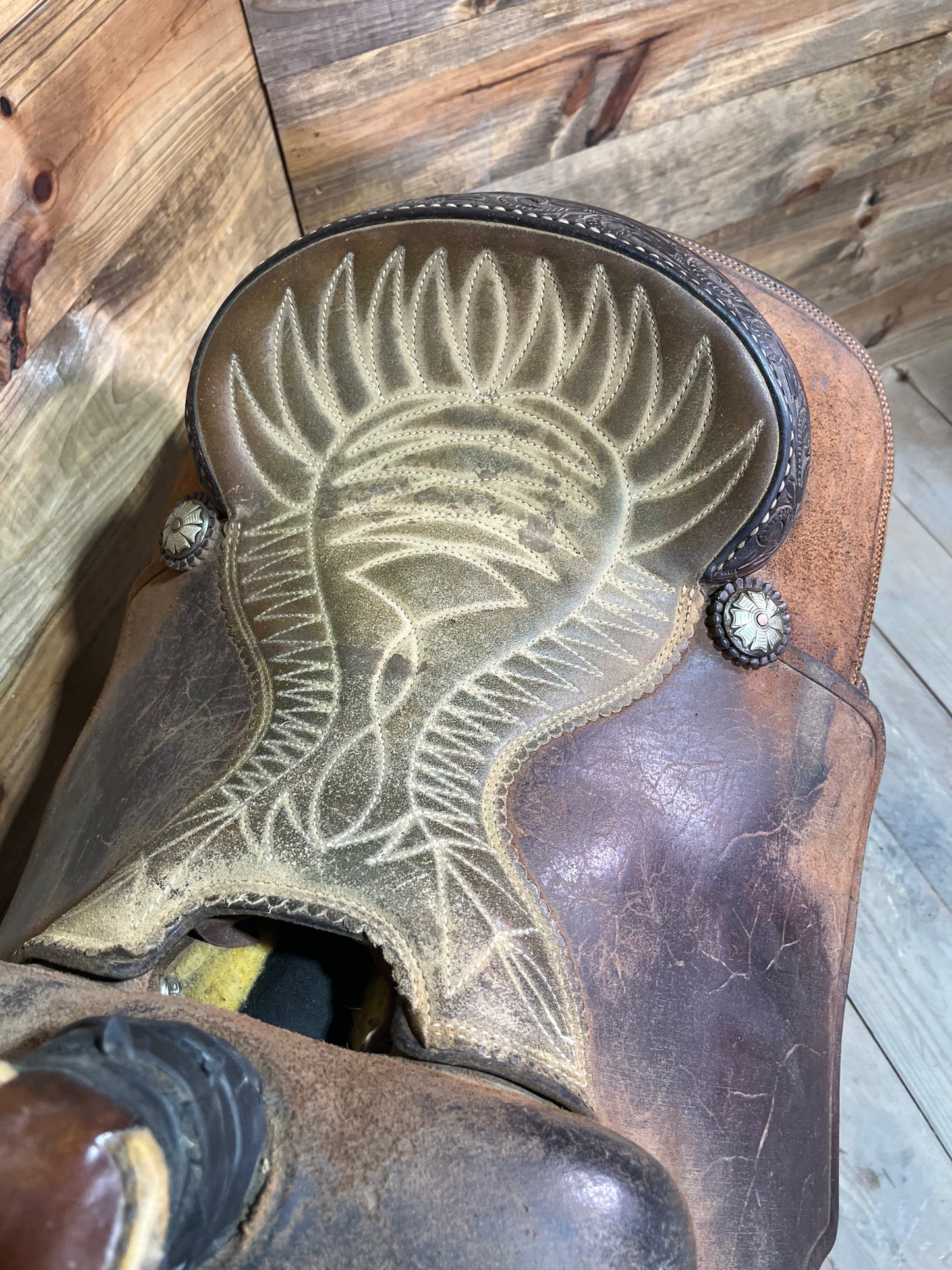 Trent Ward Platinum Roper ISUSED1842