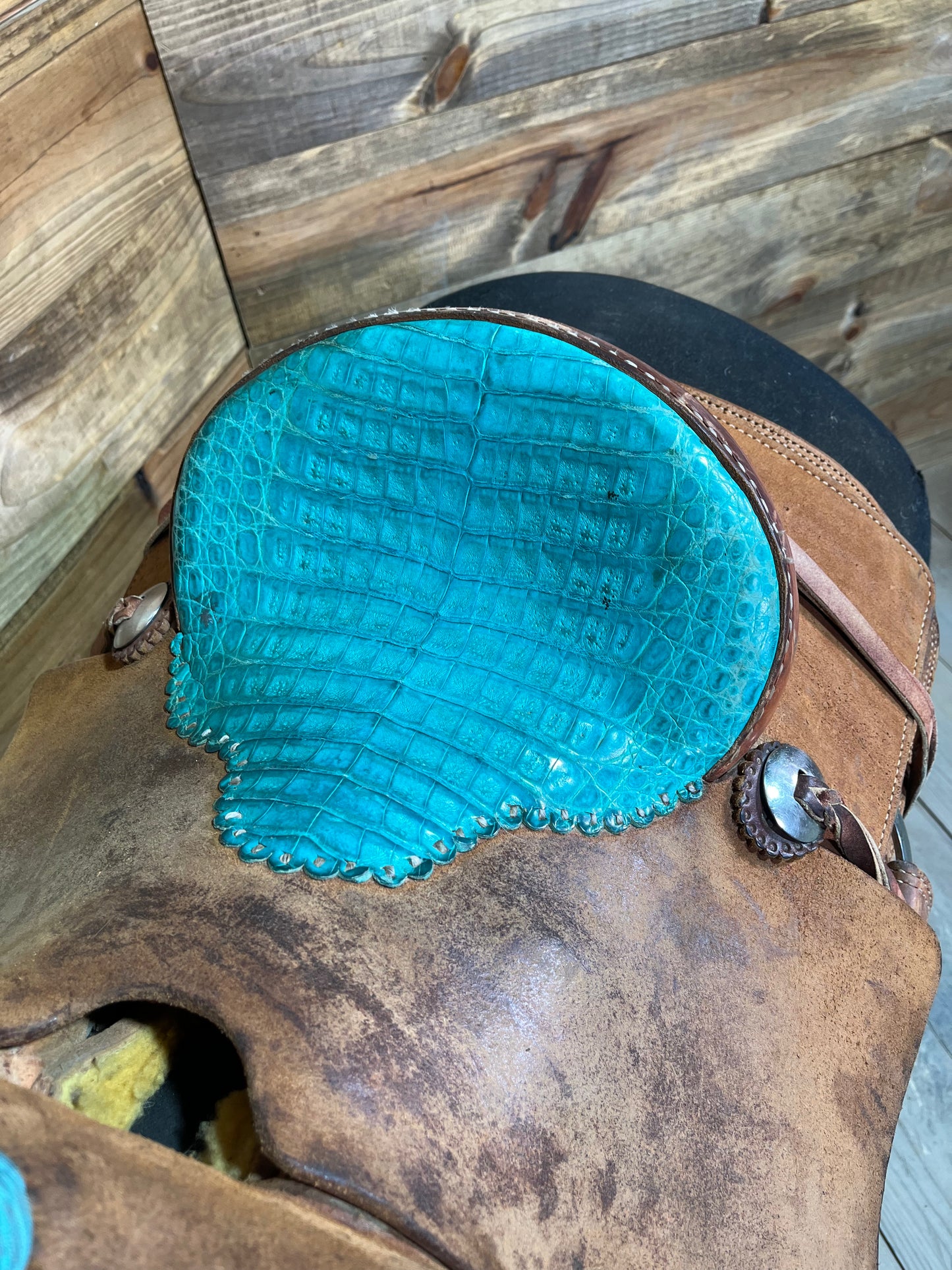Trent Ward Youth Roper ISUSED1845