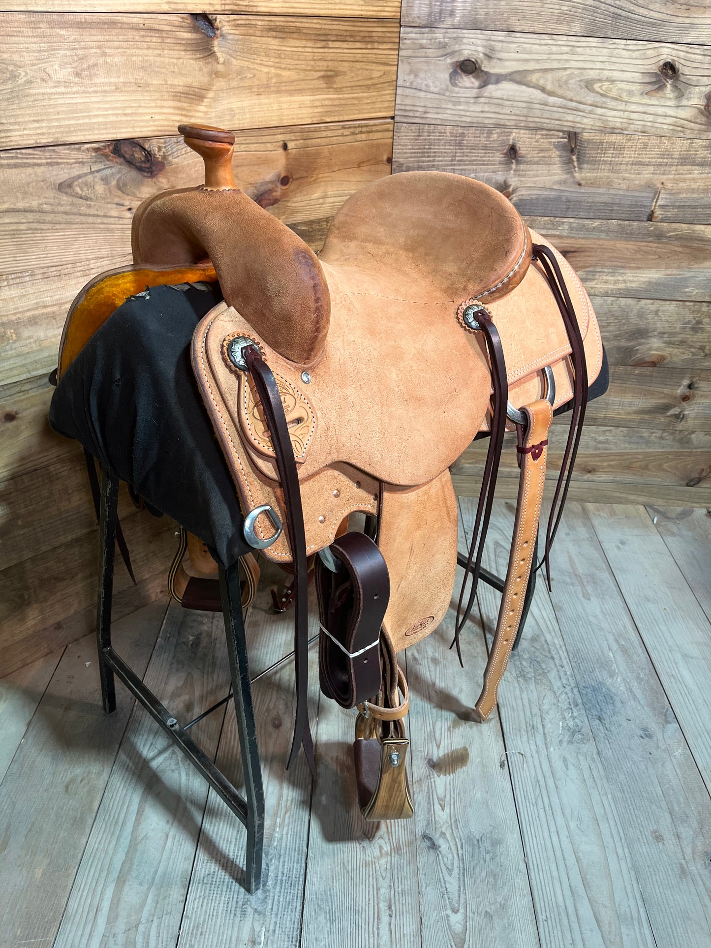 Trent Ward DL Cowhorse ISCH159-24