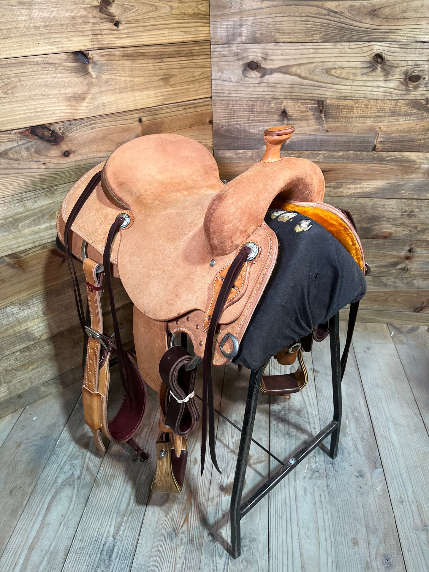 Trent Ward DL Cowhorse ISCH159-24