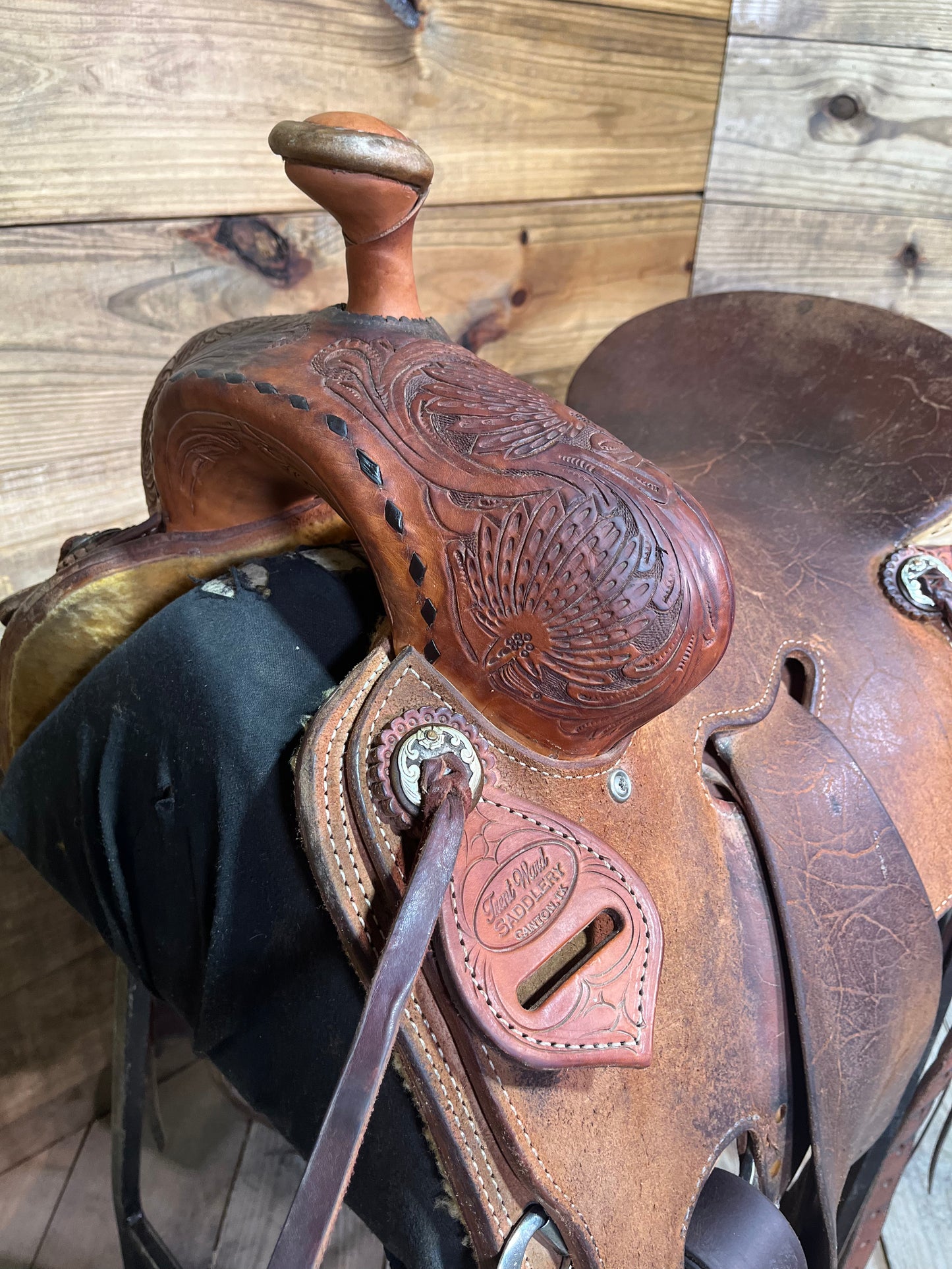 Trent Ward WJ Ranch Roper ISUSED1908