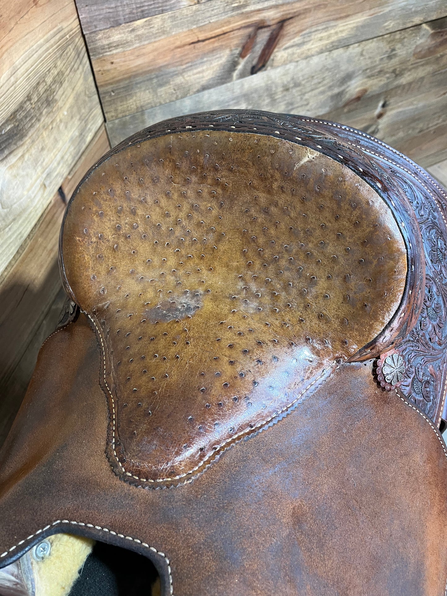 Cactus Roper ISUSED1934