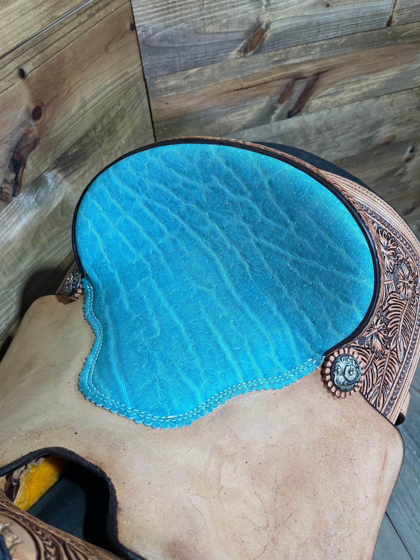 Trent Ward Platinum Roper ISPR1085-25