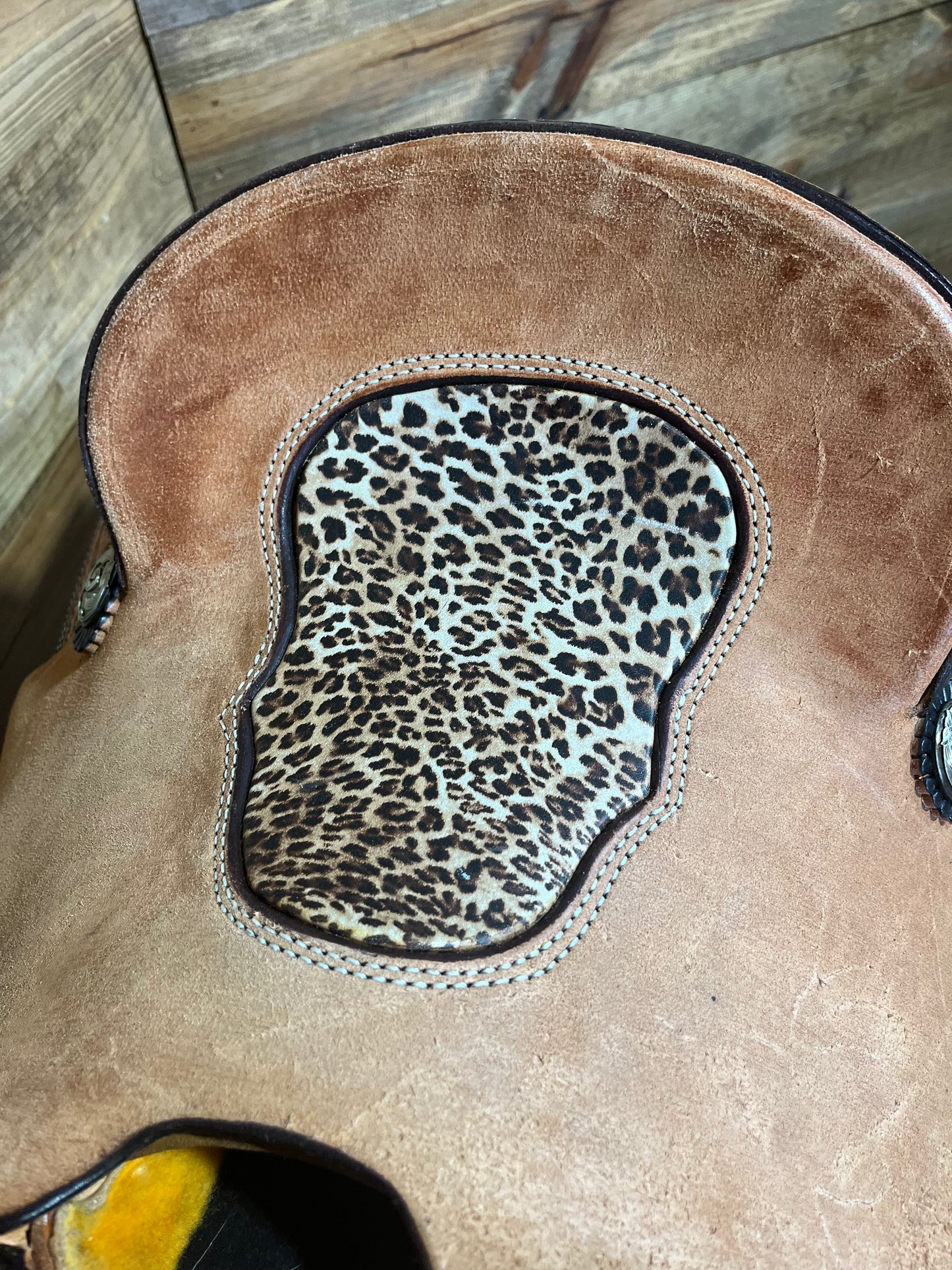 Trent Ward OY Calf Roper ISCS116-25