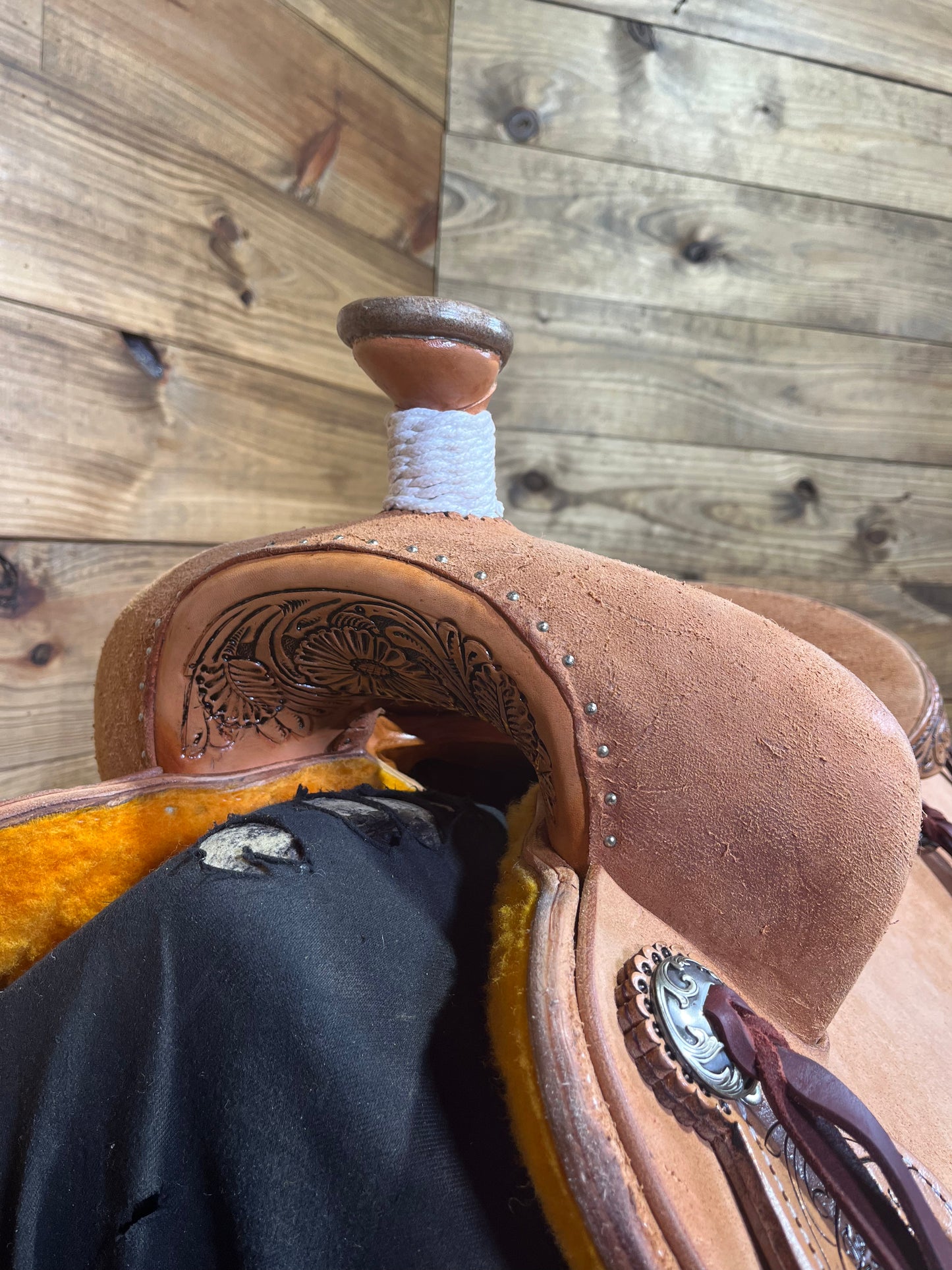 Trent Ward BC #2 Rancher ISRS777-25