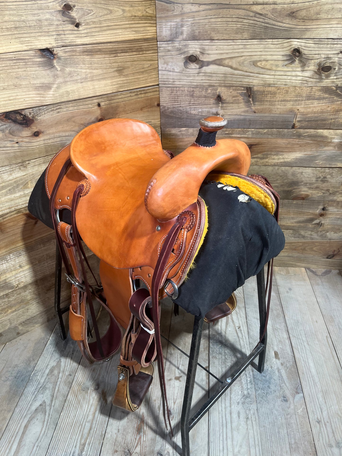 Trent Ward WJ Rancher ISRS586-25