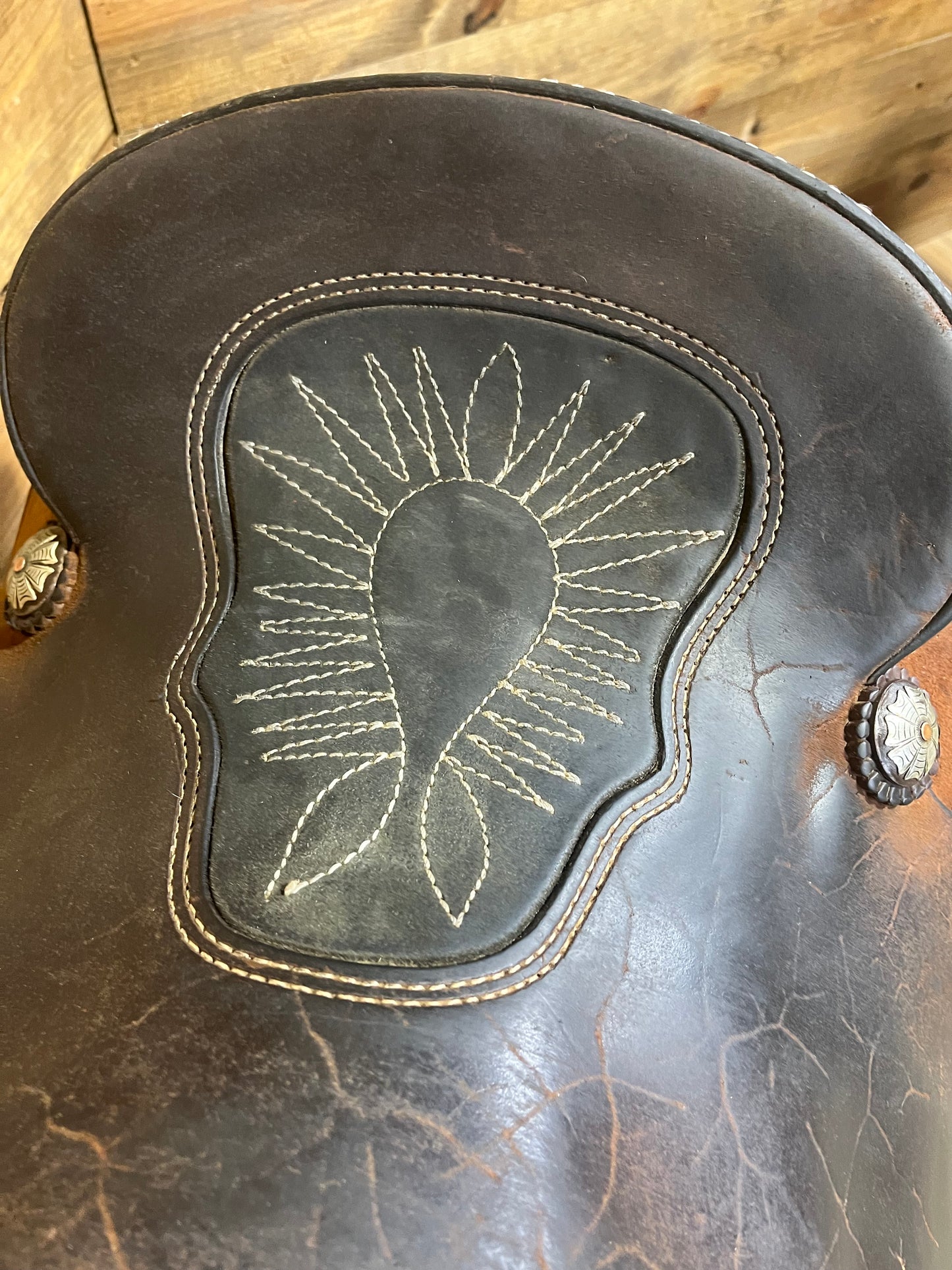 Trent Ward Platinum Roper ISUSED2007