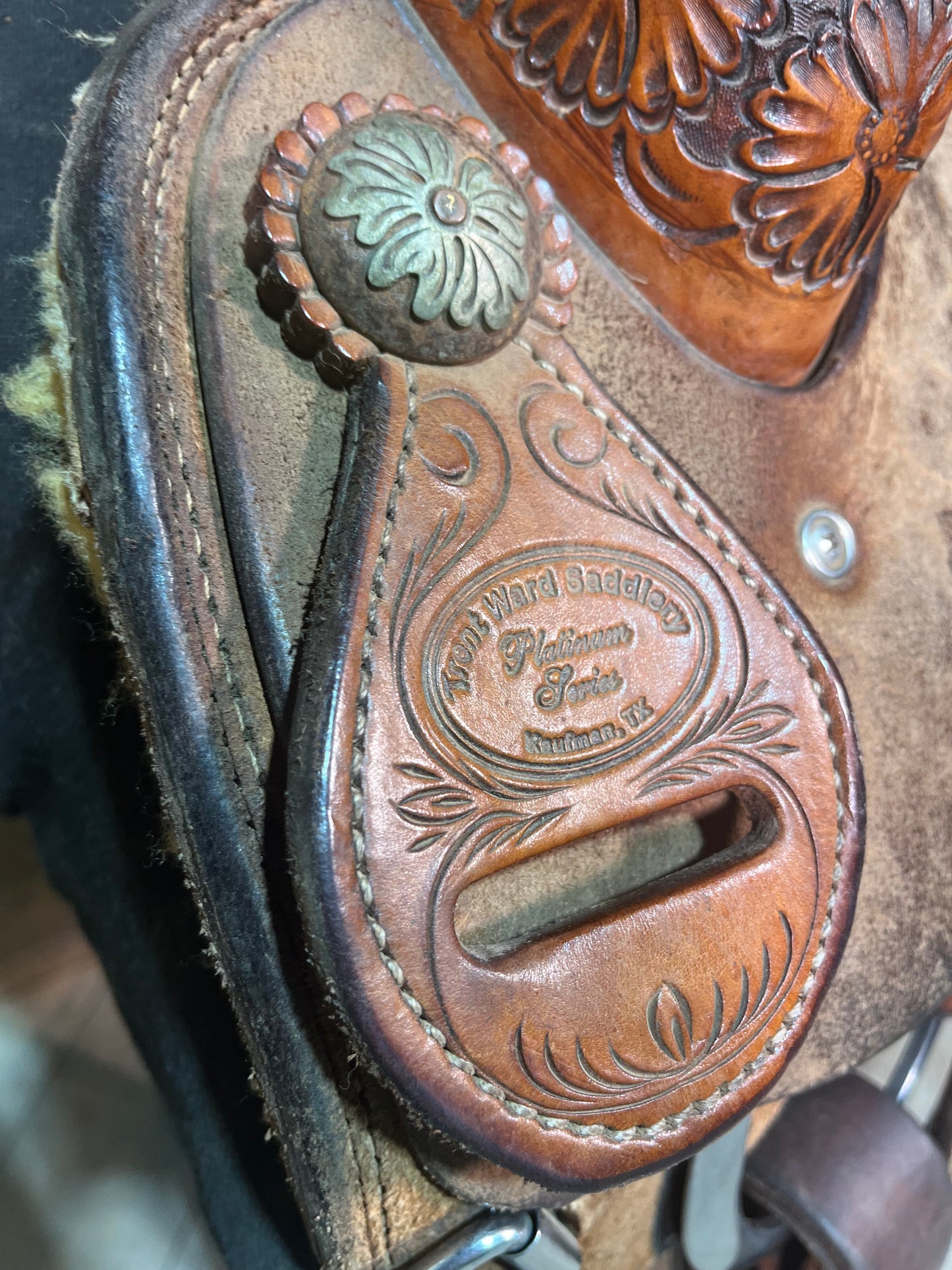 Trent Ward Platinum Roper ISUSED1954