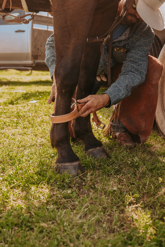 1 1/4" Hobble Strap