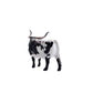 Little Buster's Longhorn Steer Black/White
