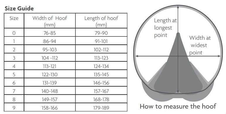 Medical Hoof Boot- Single