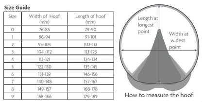 Medical Hoof Boot- Single