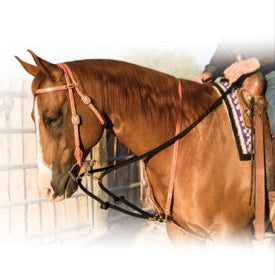Professional Choice AD Draw Martingale