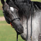 Yoder Equine Training Halters