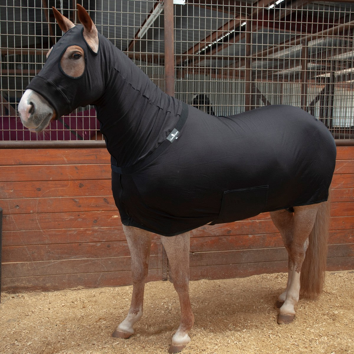Classic Equine Full-Body Slinky Red