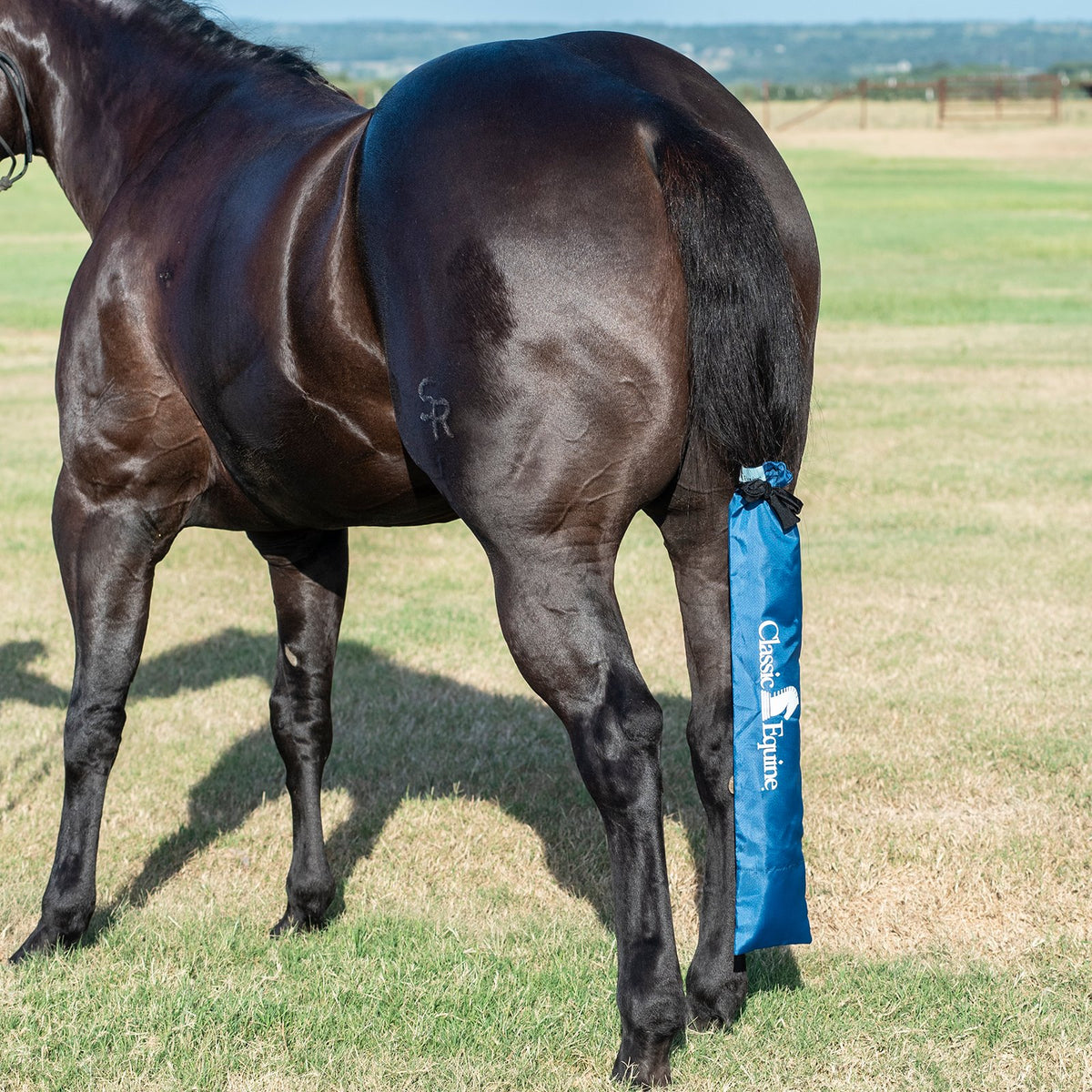 Classic Equine Slick Tail Bag Dark Blue
