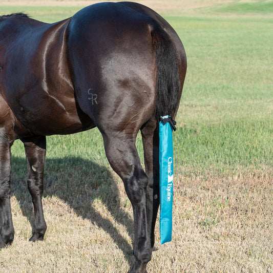 Classic Equine Slick Tail Bag Teal