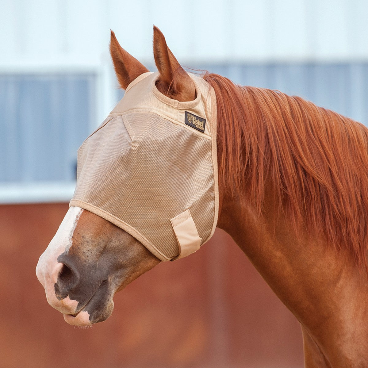 Cashel Econo Fly Mask w/ No Ears