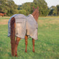 Cashel Econo Fly Sheet No Neck