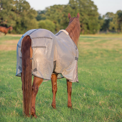 Cashel Econo Fly Sheet No Neck