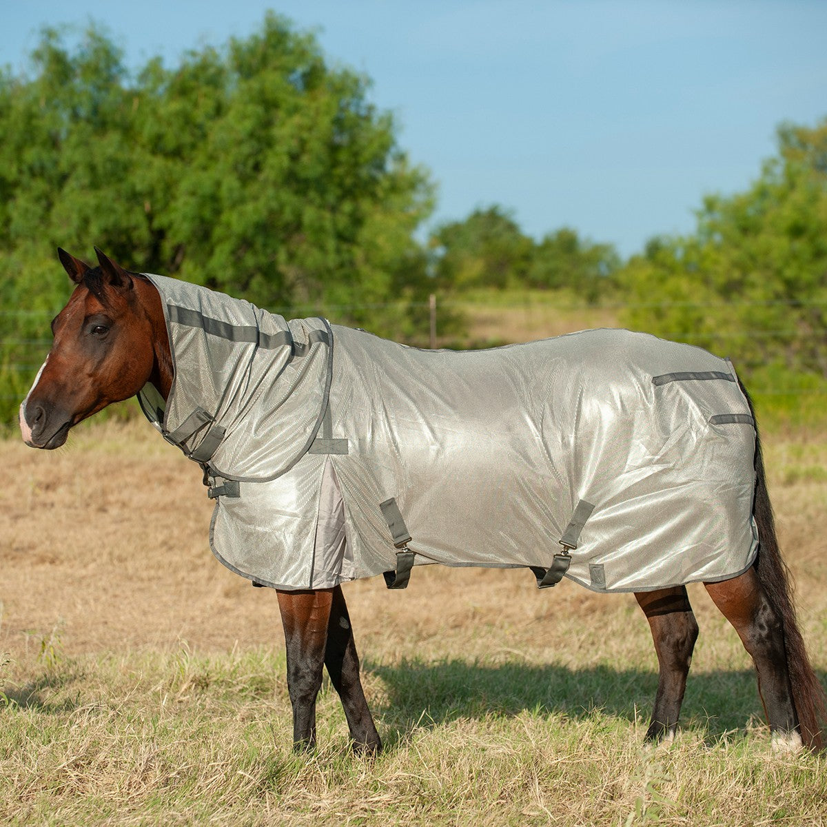 Cashel Econo Fly Sheet w/ Neck