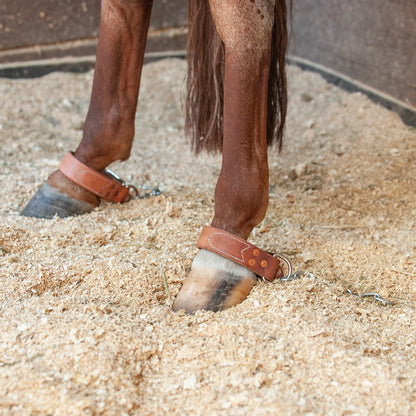 Martin Saddlery Kick Chain