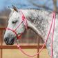 Yoder Equine Training Halters
