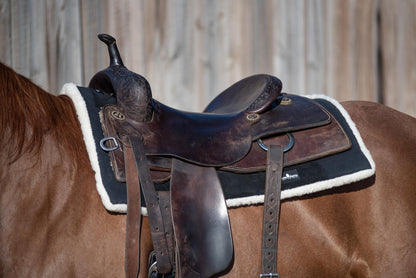 Classic Equine Performance Trainer Pad Black