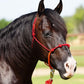 Yoder Equine Training Halters