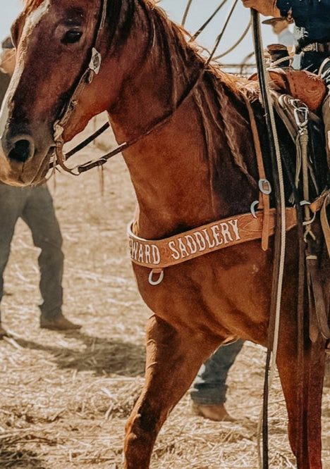 Roughout Tripping Collar with Wither Strap