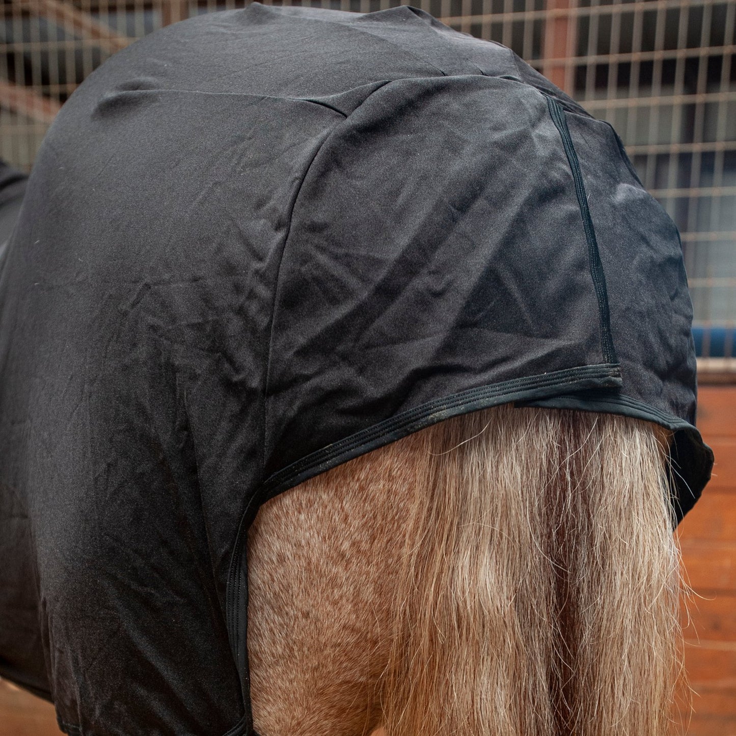 Classic Equine Full-Body Slinky Red