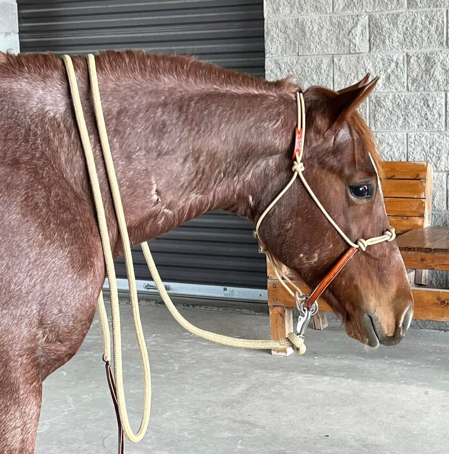 Yoder Equine Training Halters