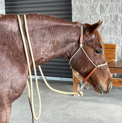 Yoder Equine Training Halters