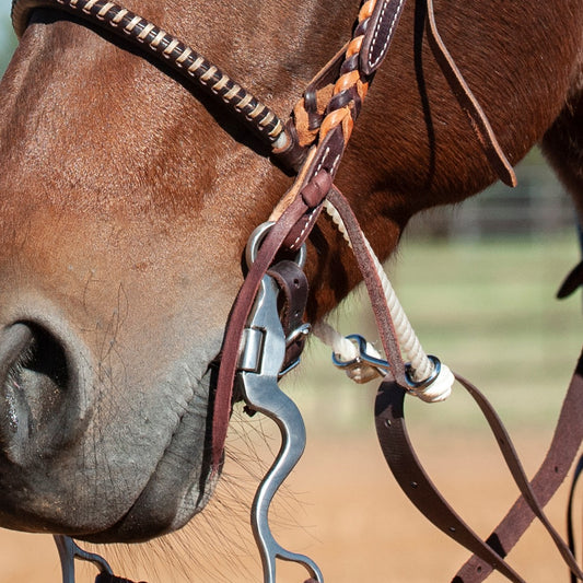 Martin Saddlery Replacement Latigo Tie Strings (10-Pack)