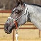 Yoder Equine Training Halters