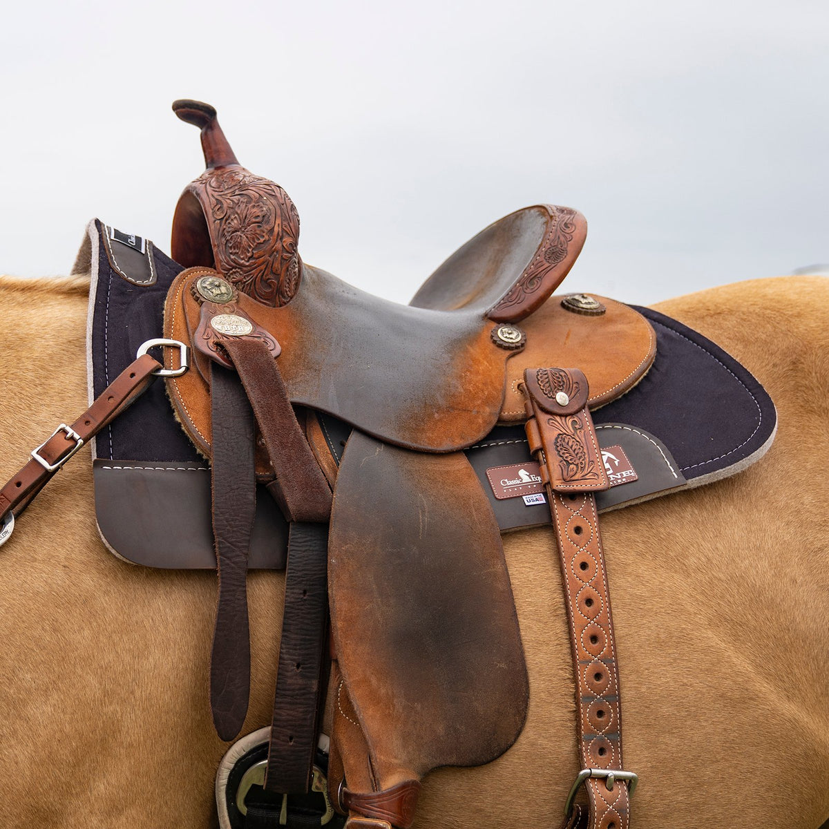 Classic Equine Zone Micro Suede Pad Black