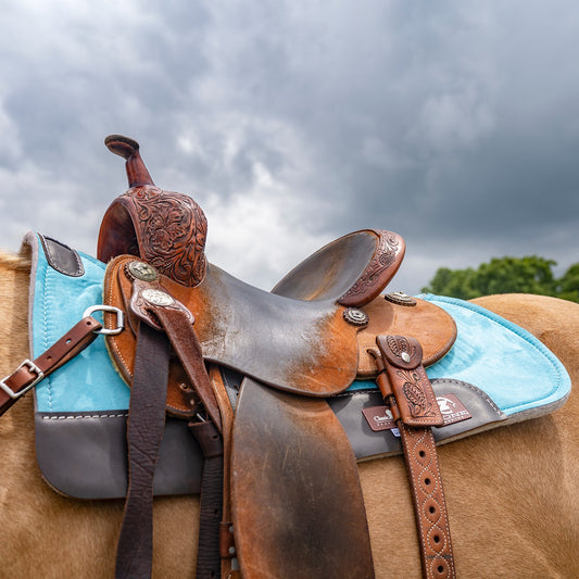 Classic Equine Micro Suede Pad Turquoise